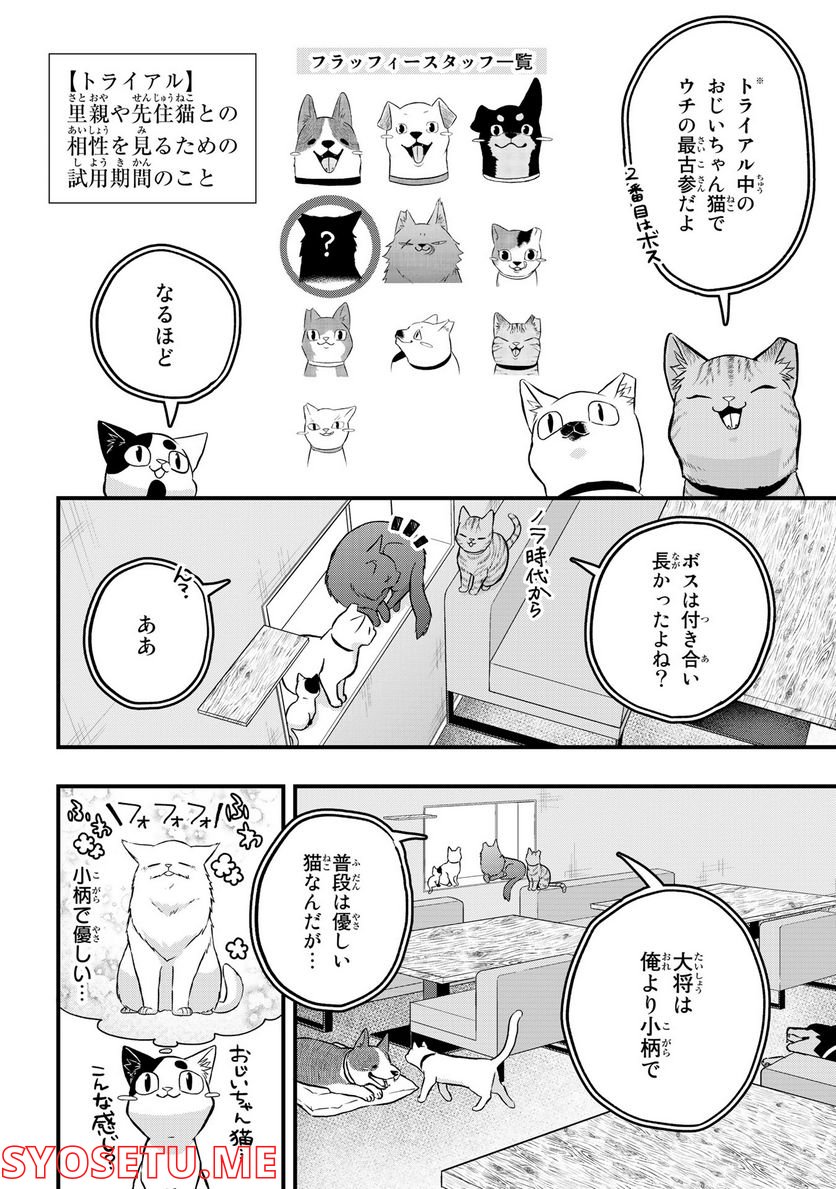 拾われ子猫と元ヤクザ - 第20話 - Page 4