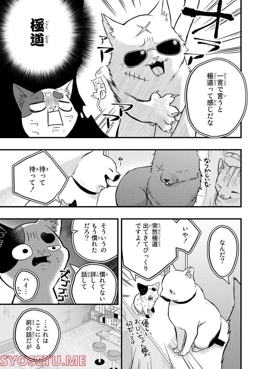 拾われ子猫と元ヤクザ - 第20話 - Page 5