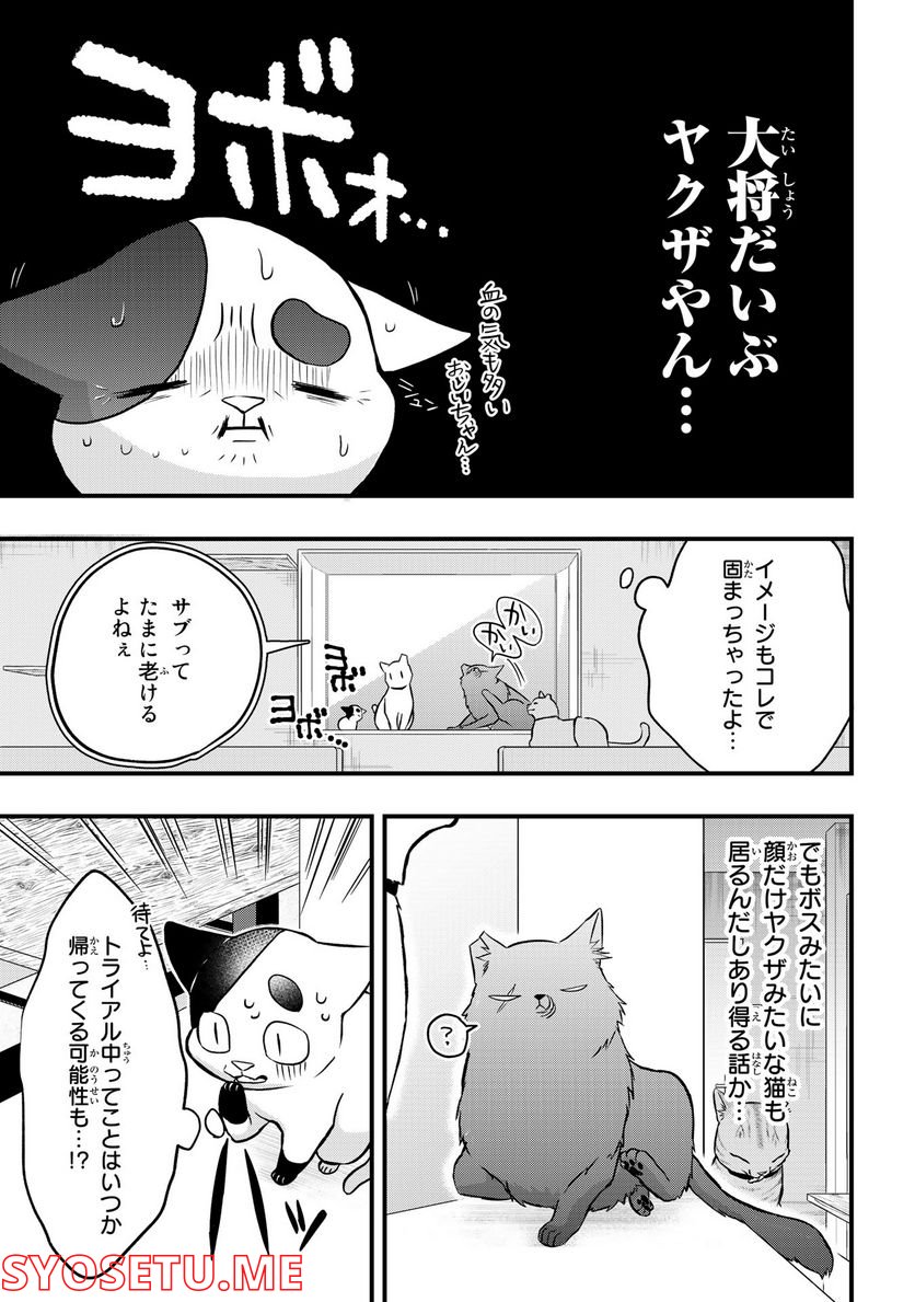 拾われ子猫と元ヤクザ - 第20話 - Page 7