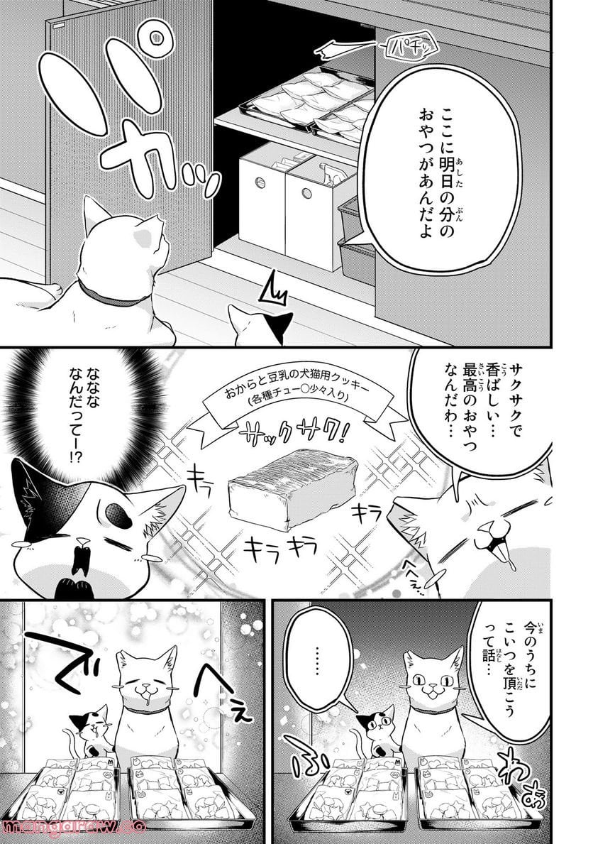 拾われ子猫と元ヤクザ - 第26話 - Page 7