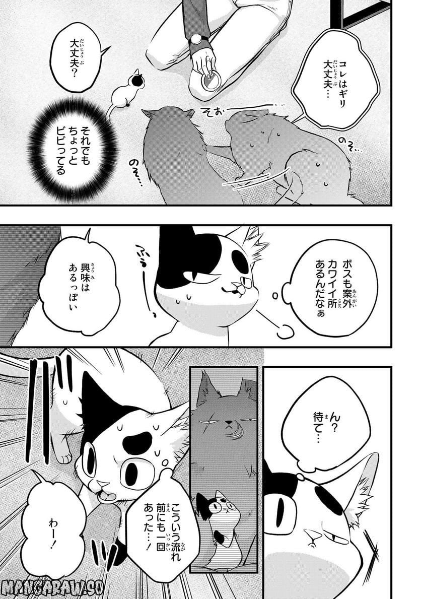 拾われ子猫と元ヤクザ - 第29話 - Page 11