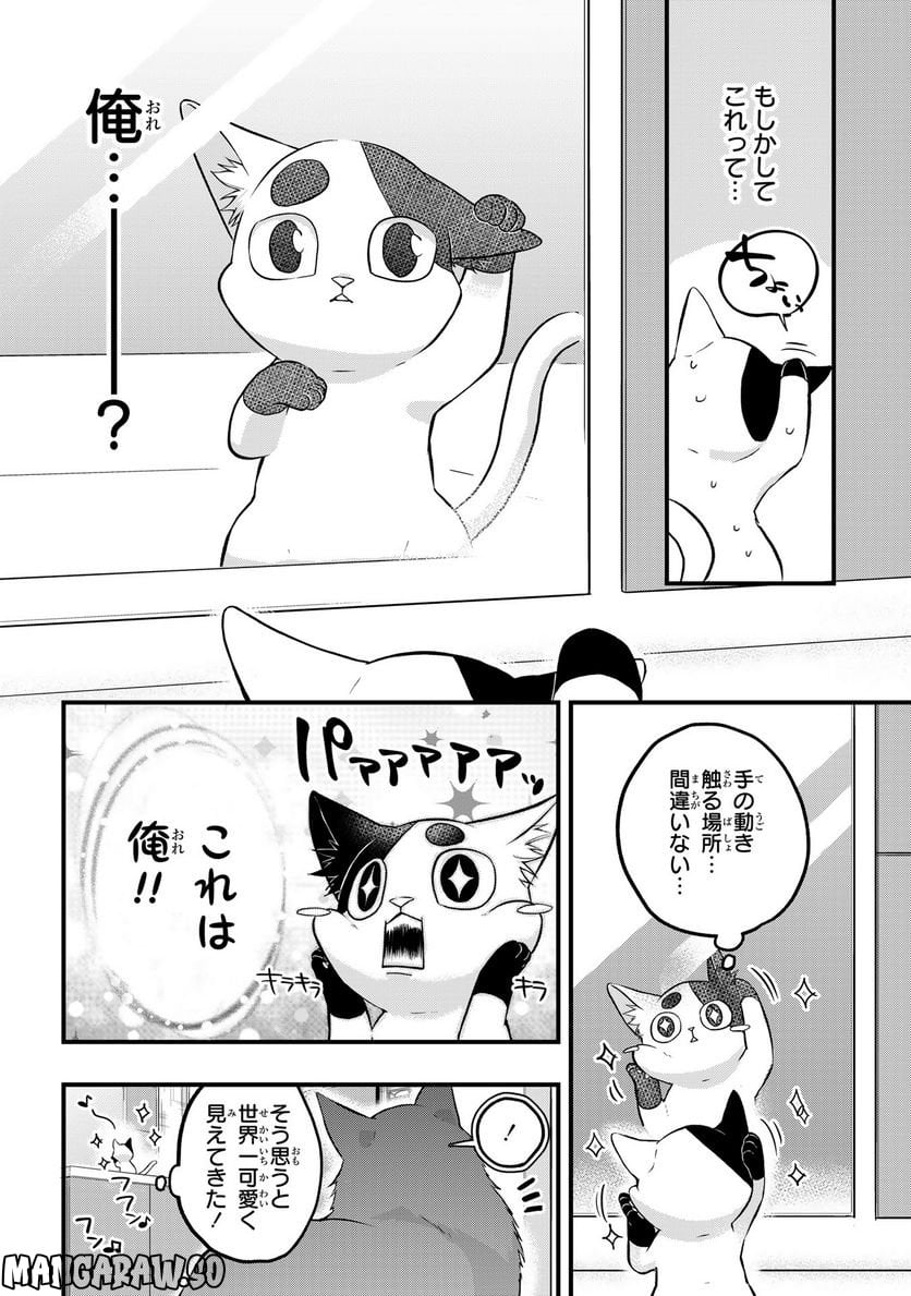 拾われ子猫と元ヤクザ - 第29話 - Page 4