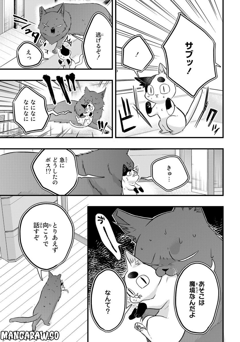 拾われ子猫と元ヤクザ - 第29話 - Page 5