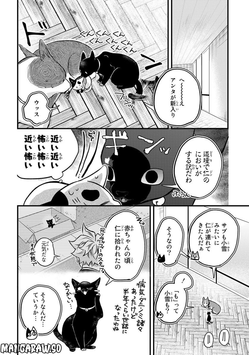 拾われ子猫と元ヤクザ - 第31話 - Page 6