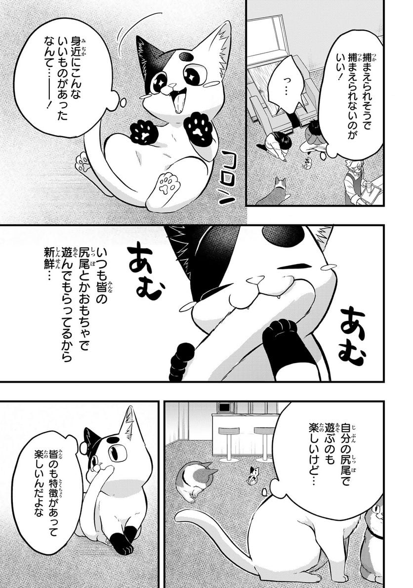 拾われ子猫と元ヤクザ - 第34話 - Page 5