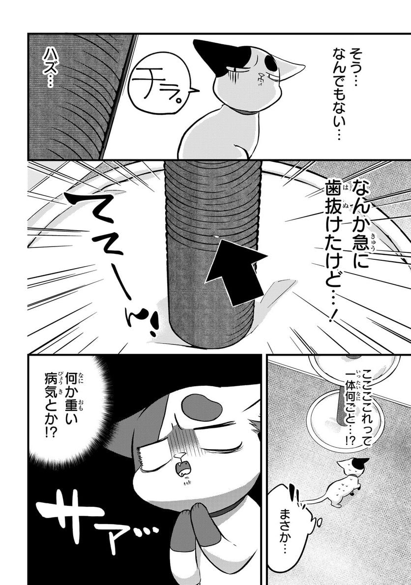 拾われ子猫と元ヤクザ - 第38話 - Page 2