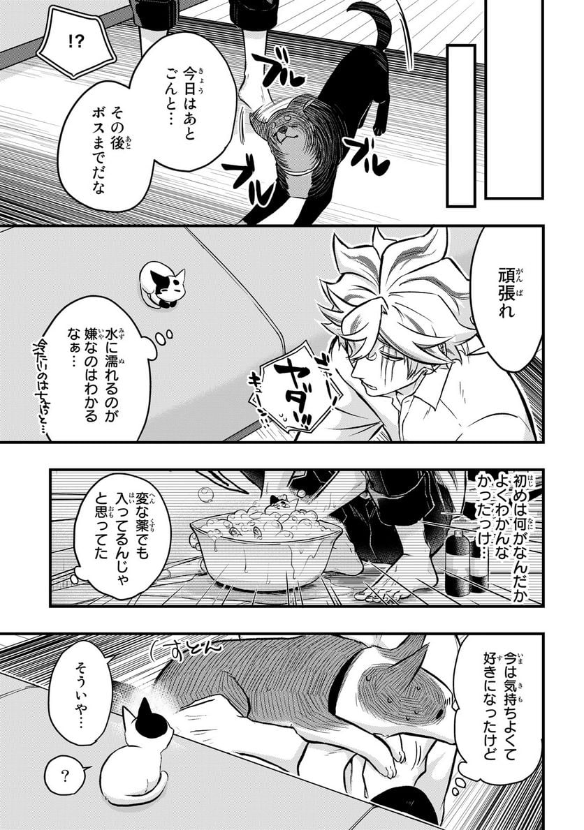 拾われ子猫と元ヤクザ - 第39話 - Page 11