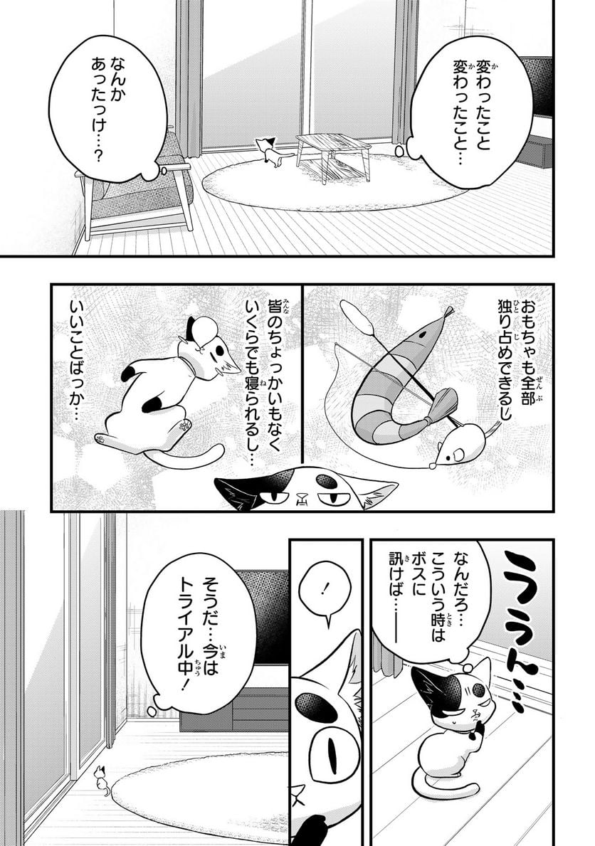 拾われ子猫と元ヤクザ - 第42話 - Page 11