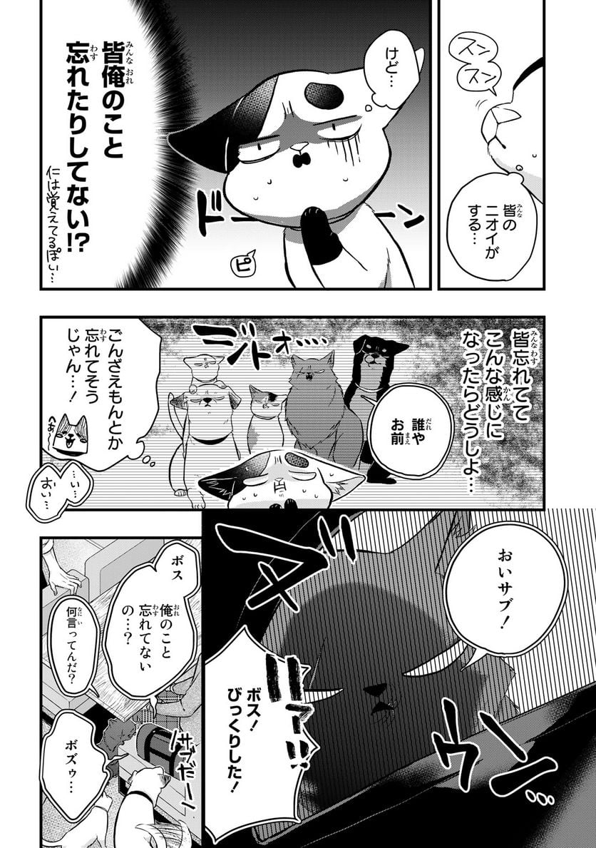 拾われ子猫と元ヤクザ - 第43話 - Page 6