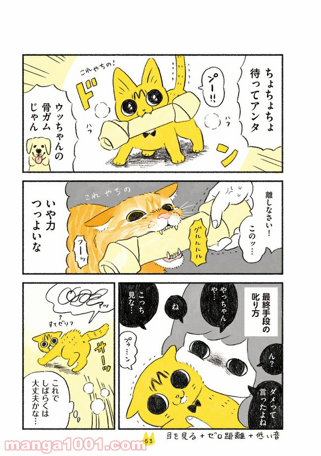 茶トラのやっちゃん 第8話 - Trang 2