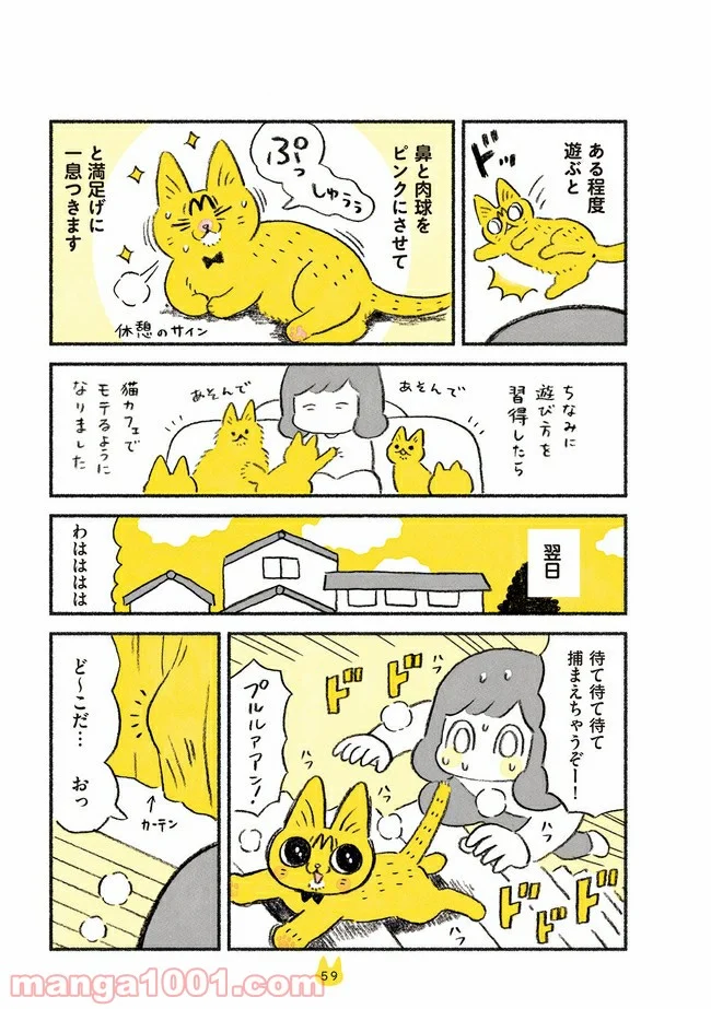 茶トラのやっちゃん 第9話 - Trang 3