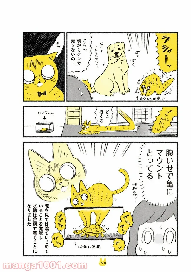 茶トラのやっちゃん 第10話 - Trang 4