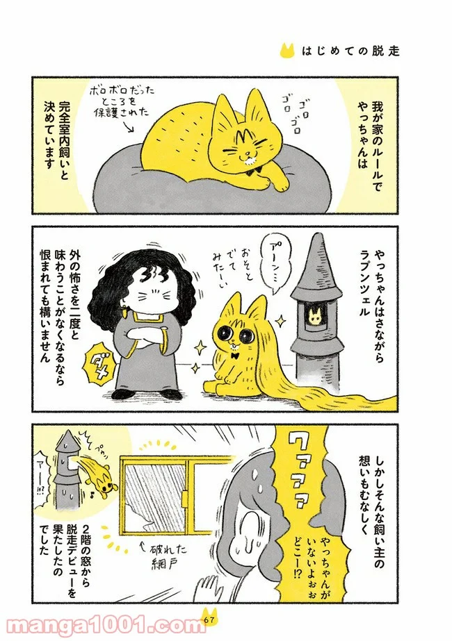 茶トラのやっちゃん 第11話 - Trang 1