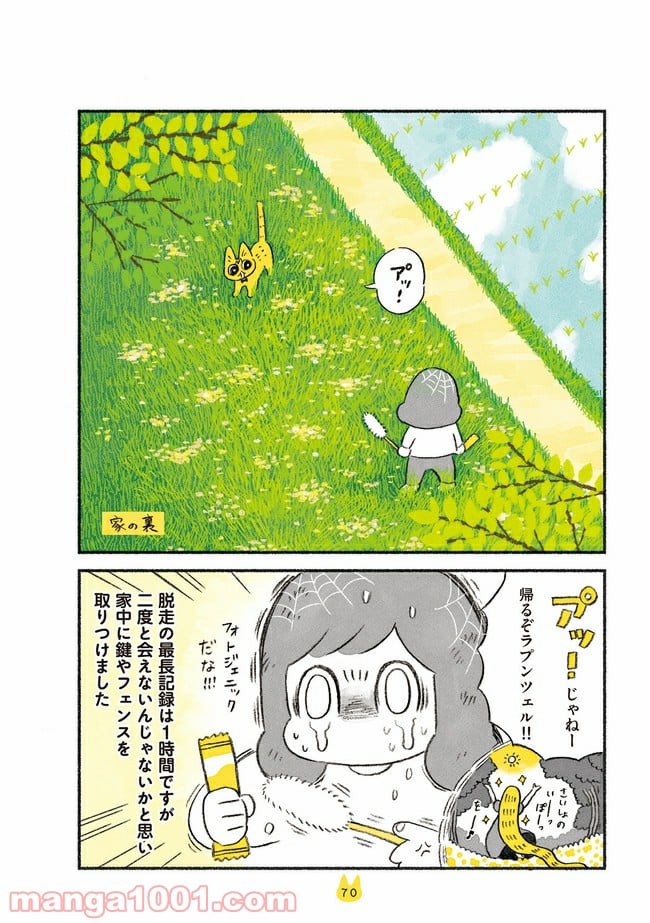 茶トラのやっちゃん 第11話 - Trang 4
