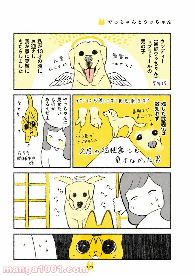 茶トラのやっちゃん 第13話 - Trang 1