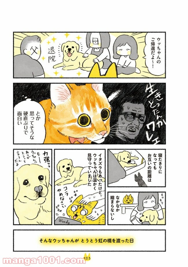 茶トラのやっちゃん 第13話 - Trang 3