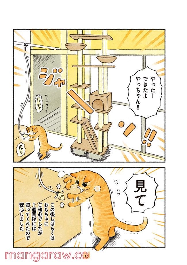 茶トラのやっちゃん 第15話 - Trang 3