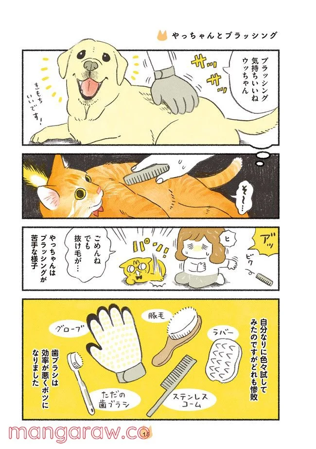 茶トラのやっちゃん 第16話 - Trang 1