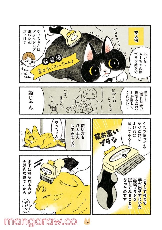 茶トラのやっちゃん 第16話 - Trang 2