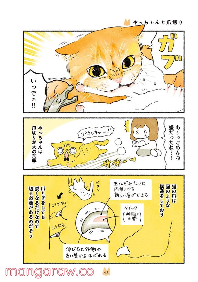 茶トラのやっちゃん 第17話 - Trang 1