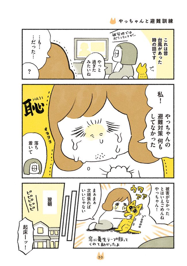 茶トラのやっちゃん 第19話 - Trang 1