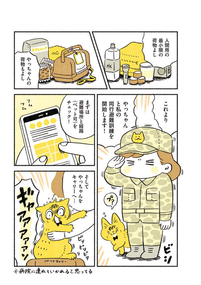 茶トラのやっちゃん 第19話 - Trang 2