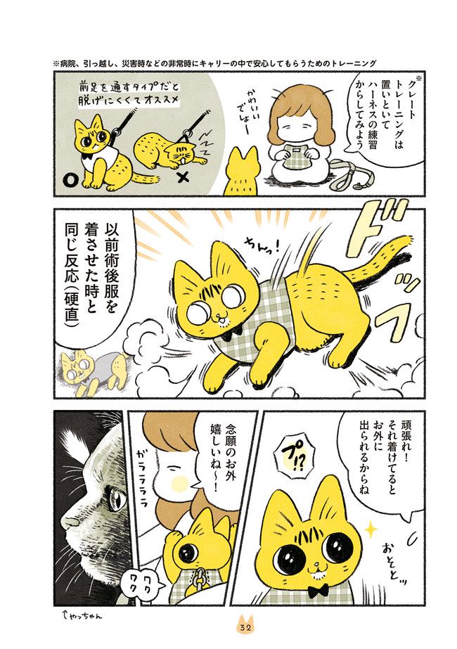 茶トラのやっちゃん 第19話 - Trang 3