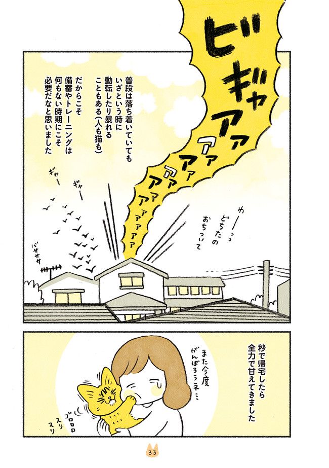 茶トラのやっちゃん 第19話 - Trang 4