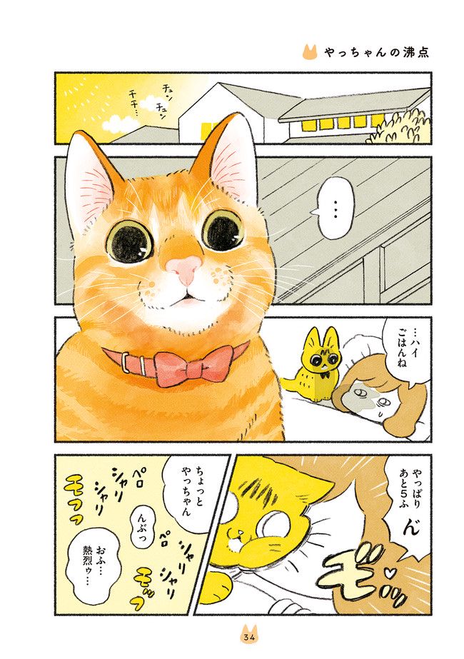 茶トラのやっちゃん 第20話 - Trang 1