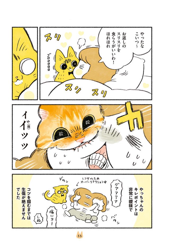 茶トラのやっちゃん 第20話 - Trang 2