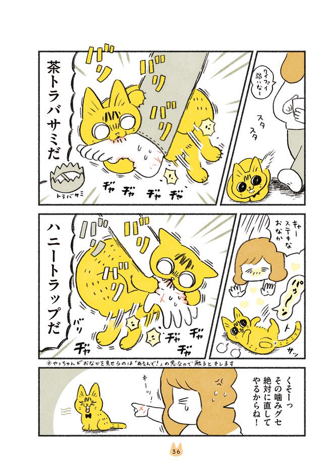茶トラのやっちゃん 第20話 - Trang 3