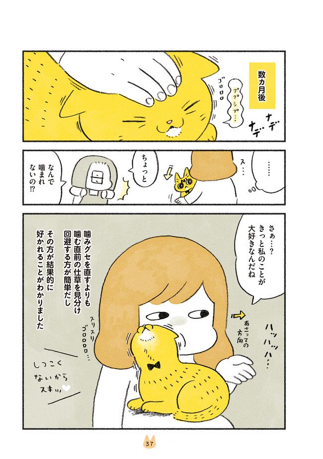茶トラのやっちゃん 第20話 - Trang 4