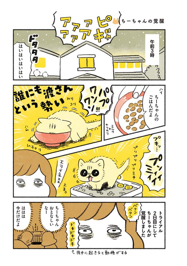 茶トラのやっちゃん 第23話 - Trang 1