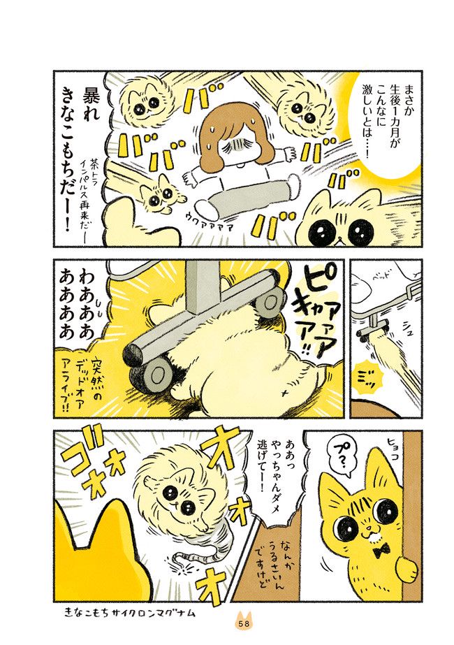 茶トラのやっちゃん 第23話 - Trang 2