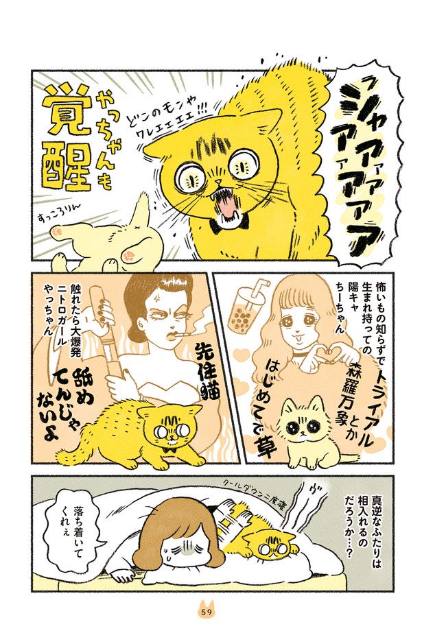 茶トラのやっちゃん 第23話 - Trang 3