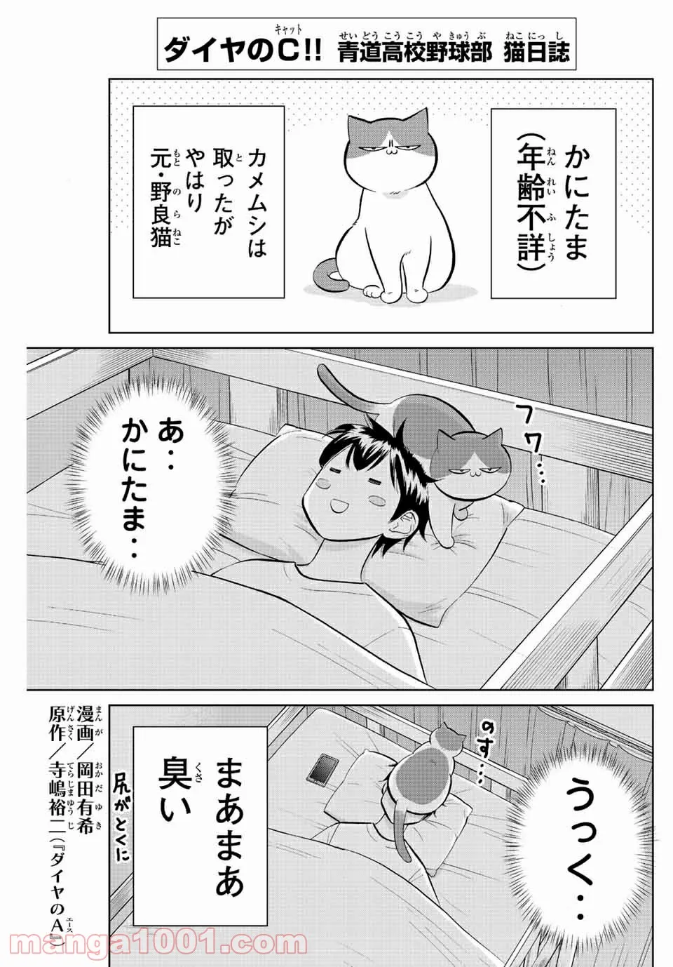 ダイヤのC!! 青道高校野球部猫日誌 第6話 - Trang 1