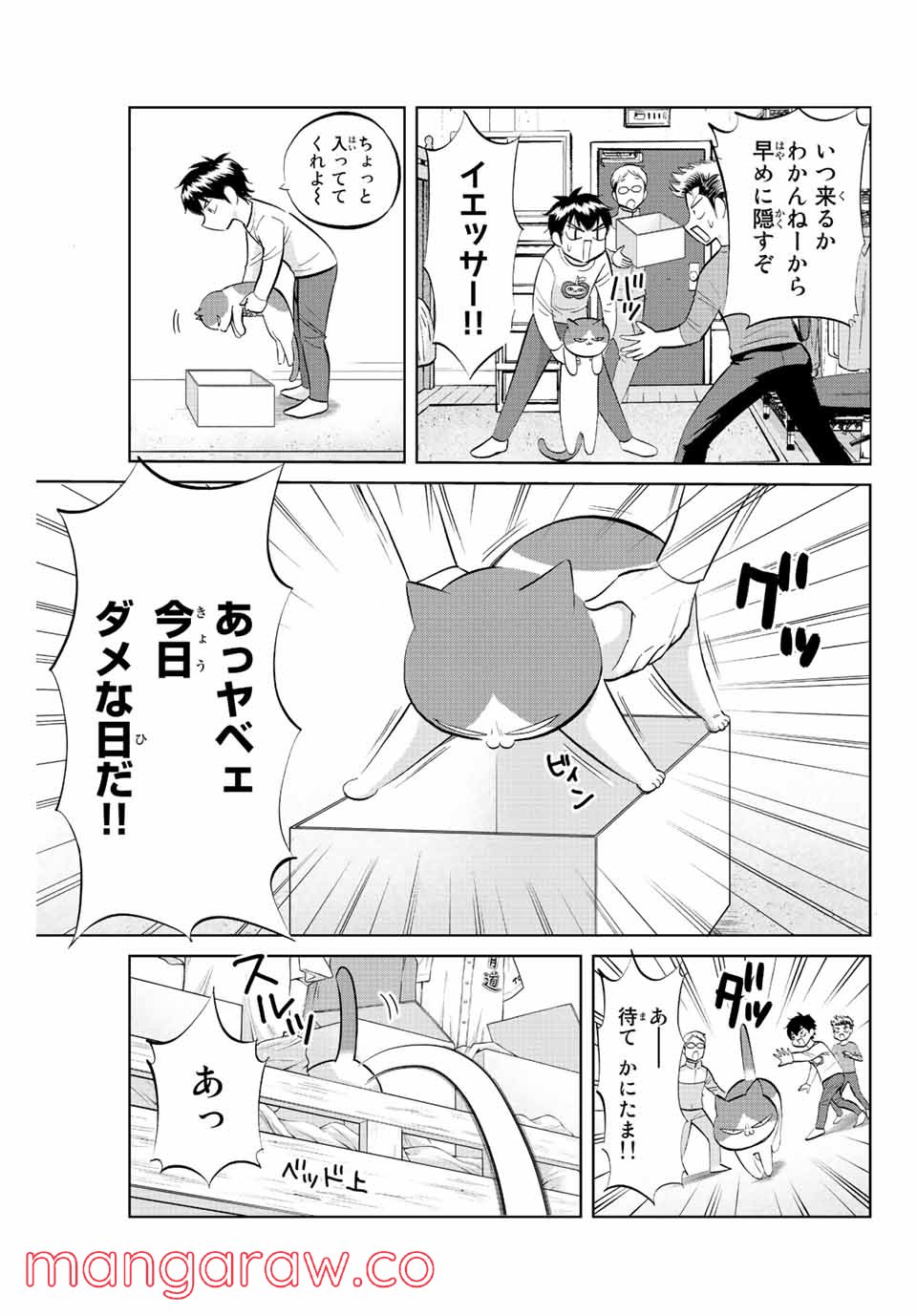 ダイヤのC!! 青道高校野球部猫日誌 - 第10話 - Page 3