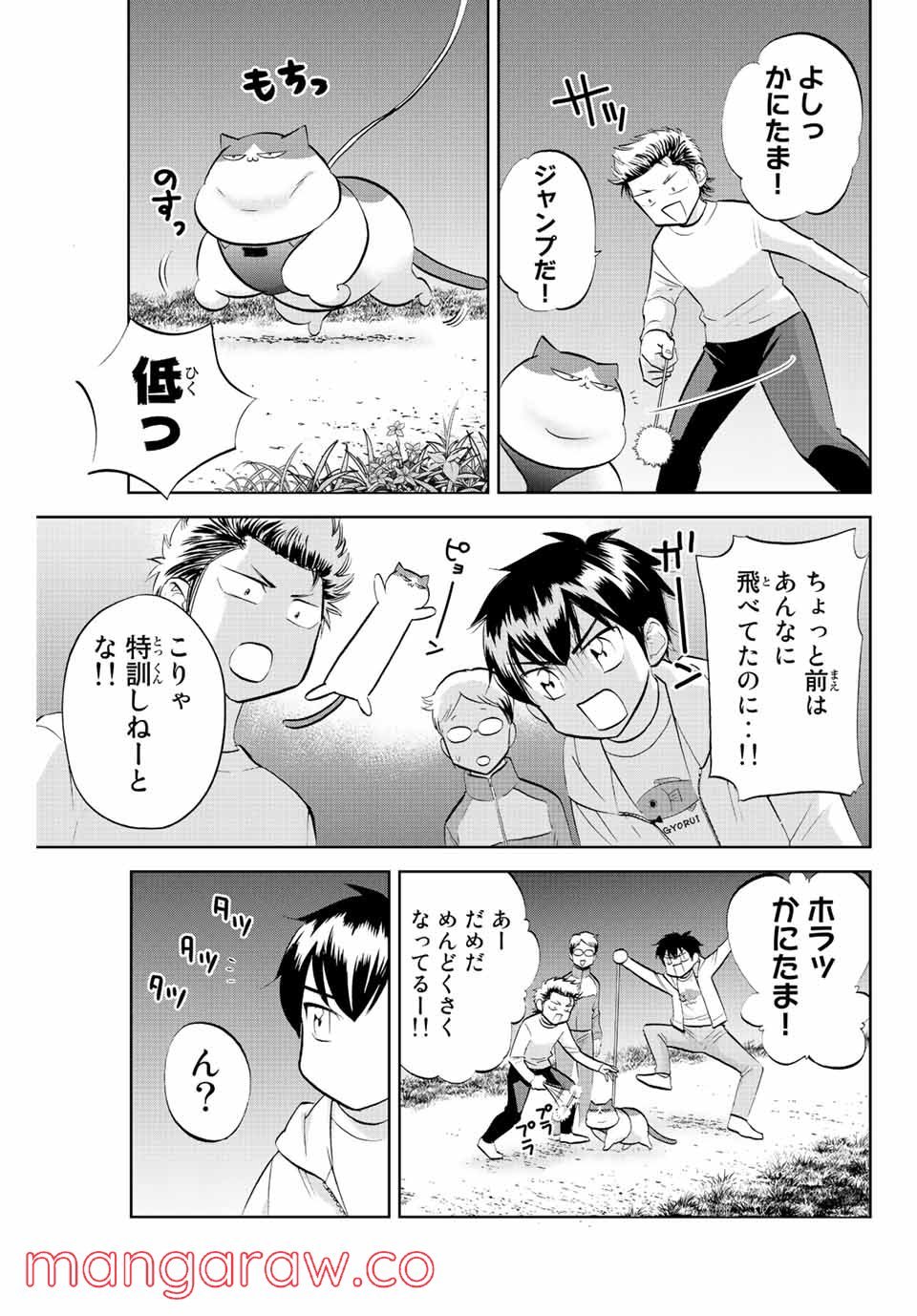 ダイヤのC!! 青道高校野球部猫日誌 - 第13話 - Page 3