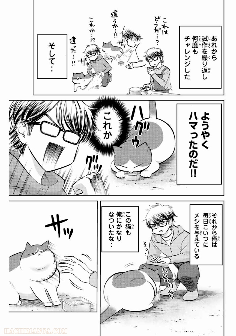 ダイヤのC!! 青道高校野球部猫日誌 - 第14話 - Page 3