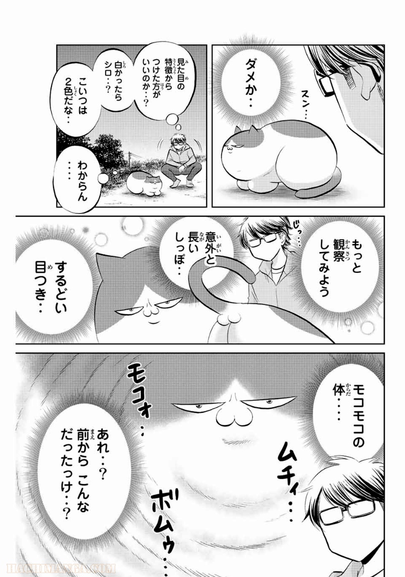 ダイヤのC!! 青道高校野球部猫日誌 - 第14話 - Page 5