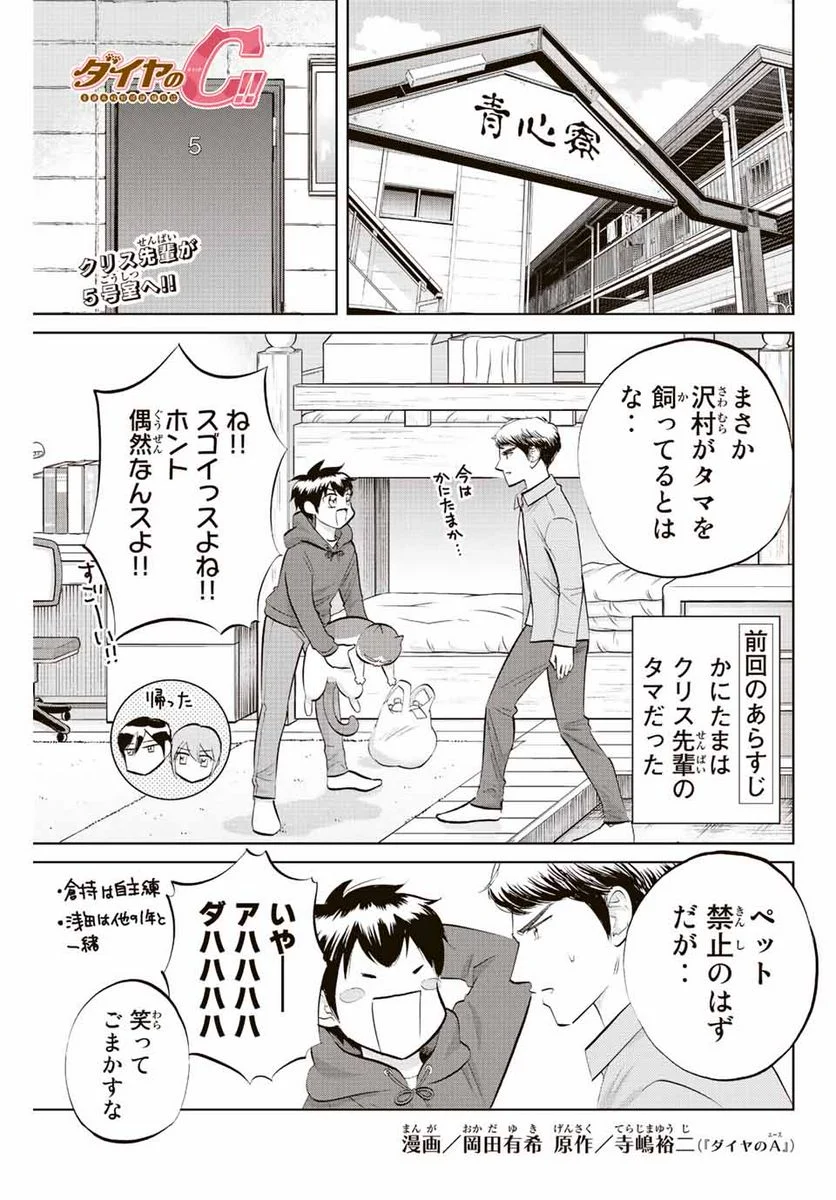 ダイヤのC!! 青道高校野球部猫日誌 - 第26話 - Page 1