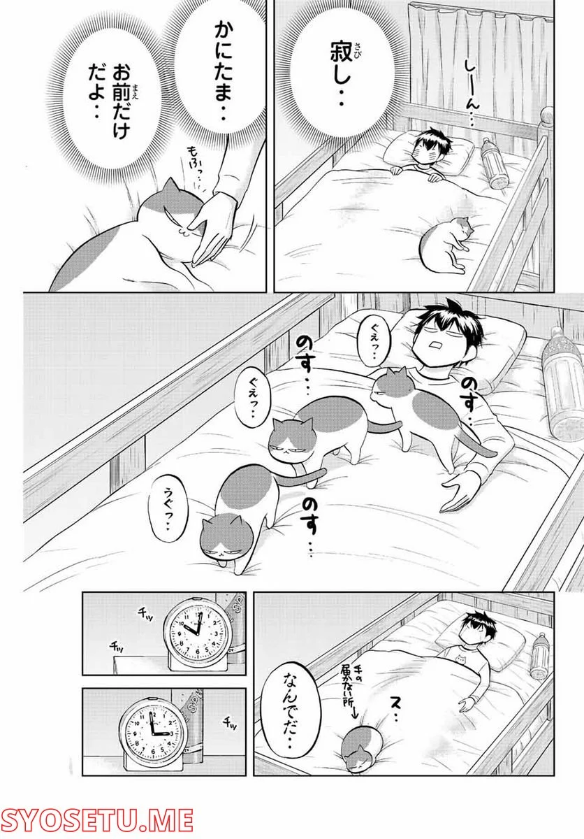 ダイヤのC!! 青道高校野球部猫日誌 第29話 - Trang 3