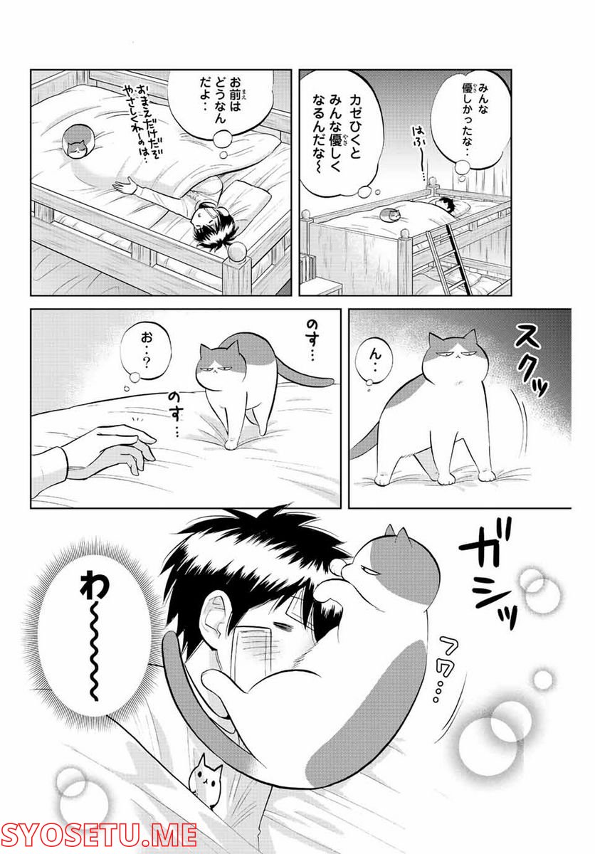 ダイヤのC!! 青道高校野球部猫日誌 第29話 - Trang 6