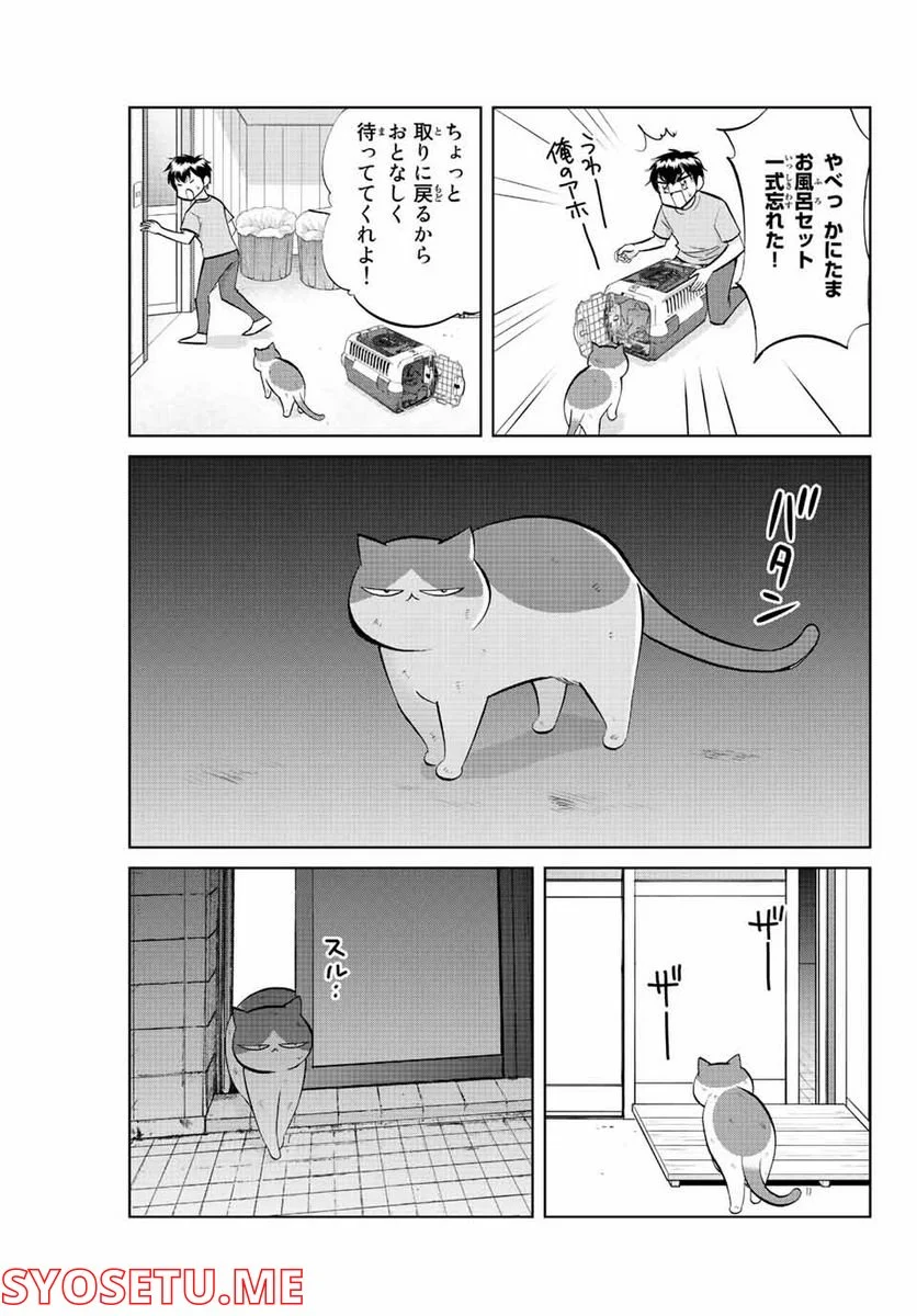 ダイヤのC!! 青道高校野球部猫日誌 - 第30話 - Page 3