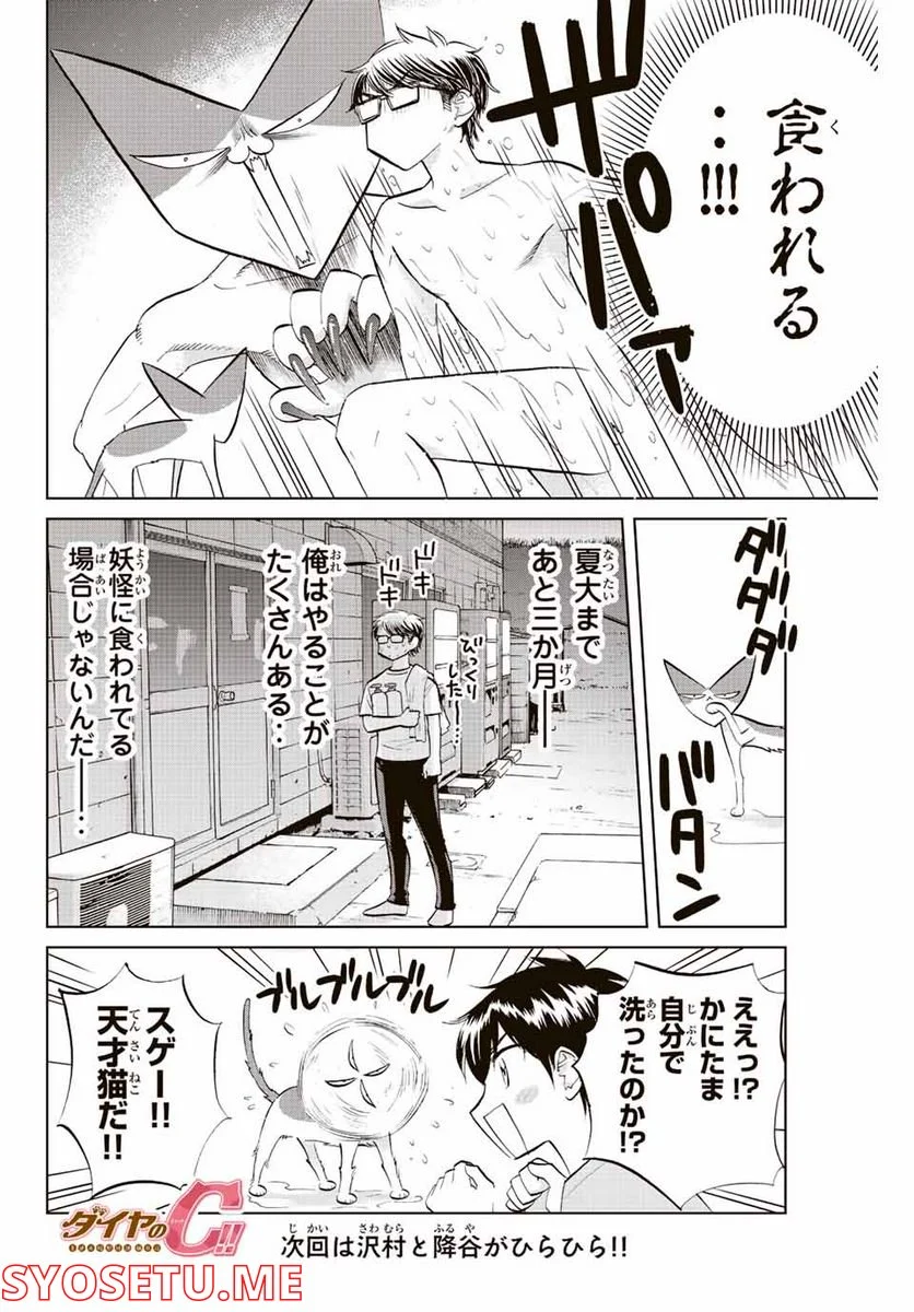 ダイヤのC!! 青道高校野球部猫日誌 - 第30話 - Page 8