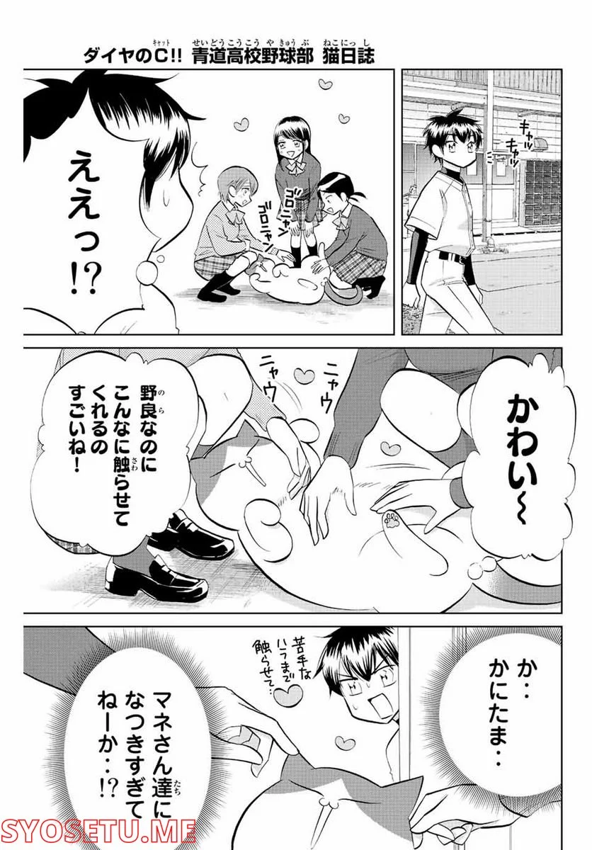 ダイヤのC!! 青道高校野球部猫日誌 - 第31話 - Page 1