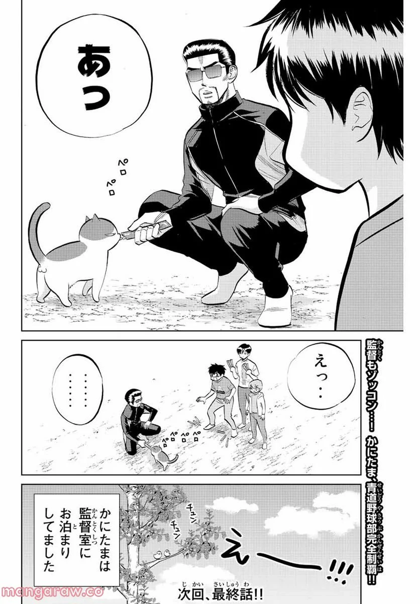 ダイヤのC!! 青道高校野球部猫日誌 - 第38話 - Page 10