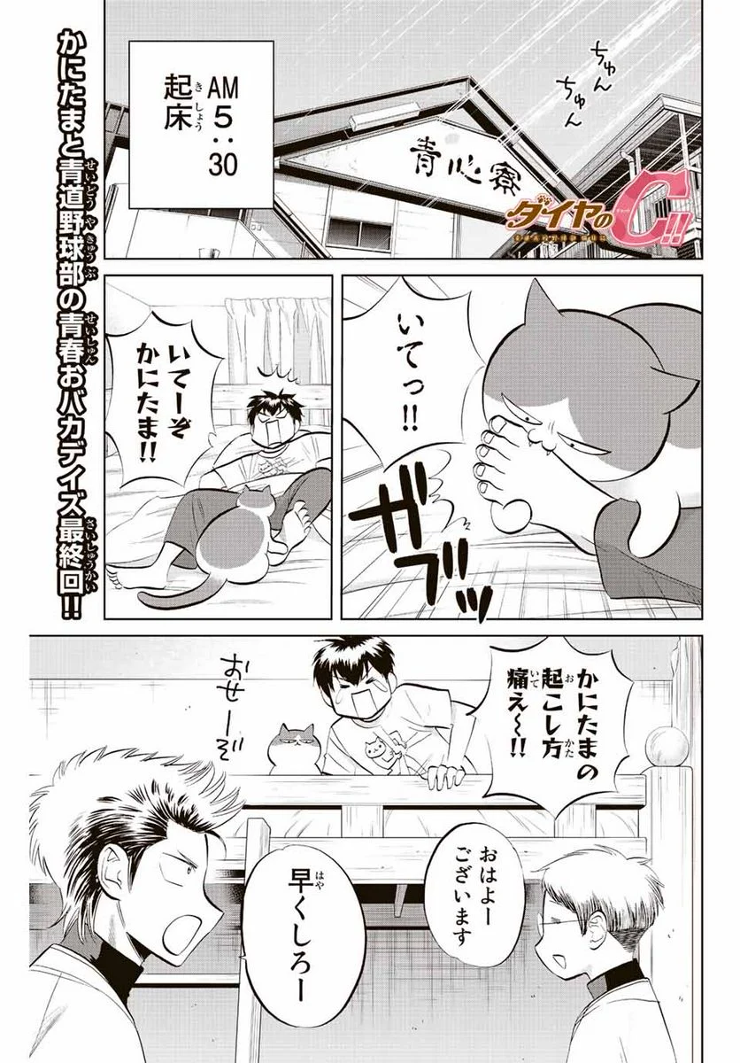 ダイヤのC!! 青道高校野球部猫日誌 第39話 - Trang 1