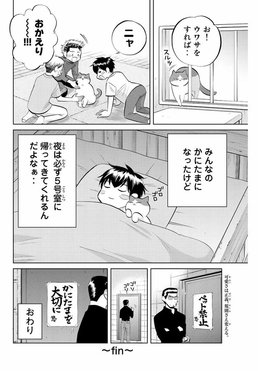 ダイヤのC!! 青道高校野球部猫日誌 第39話 - Trang 14