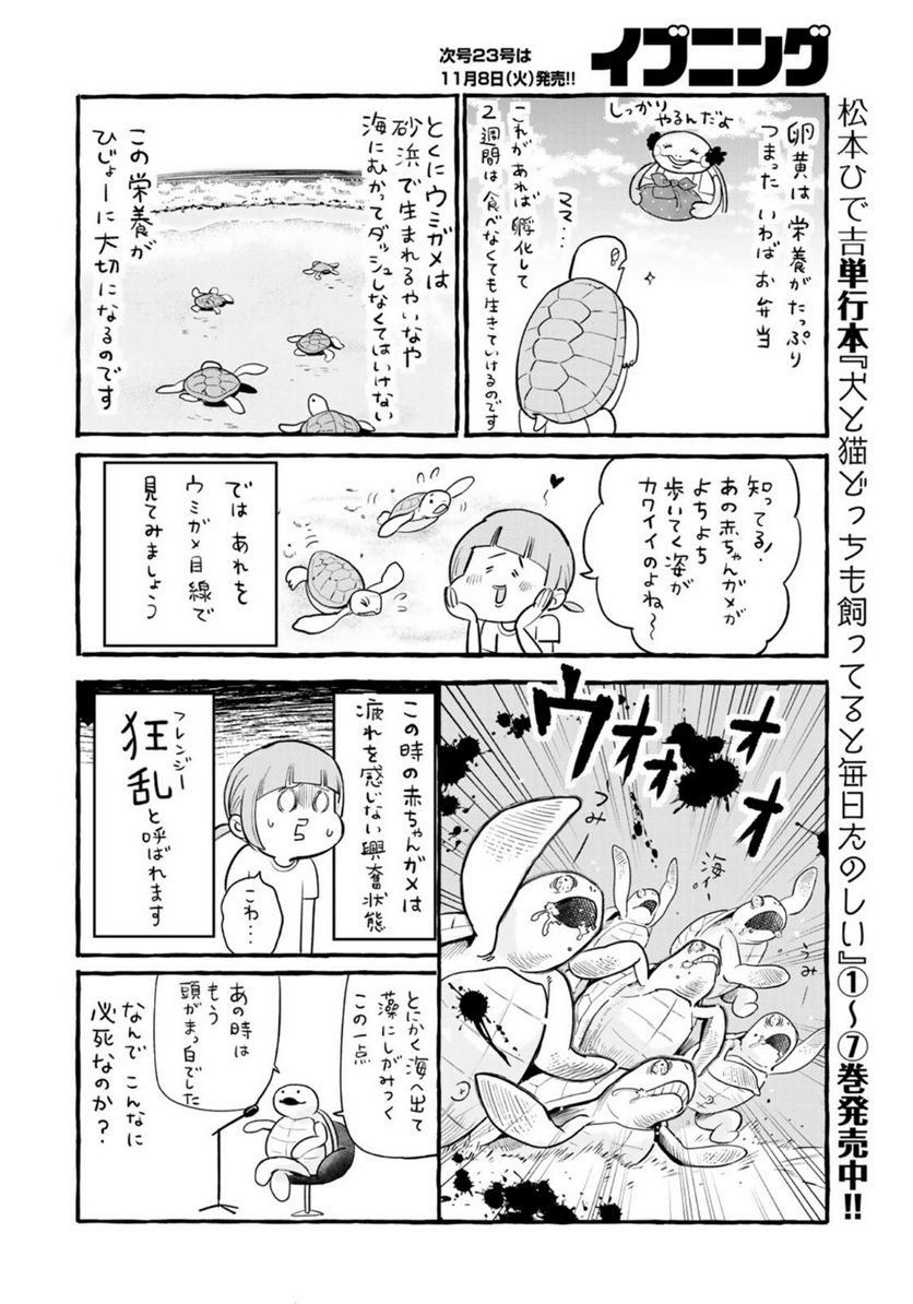 いきものがたり - 第26話 - Page 2